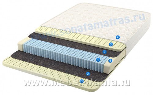�������������� ������ Vitto plus
